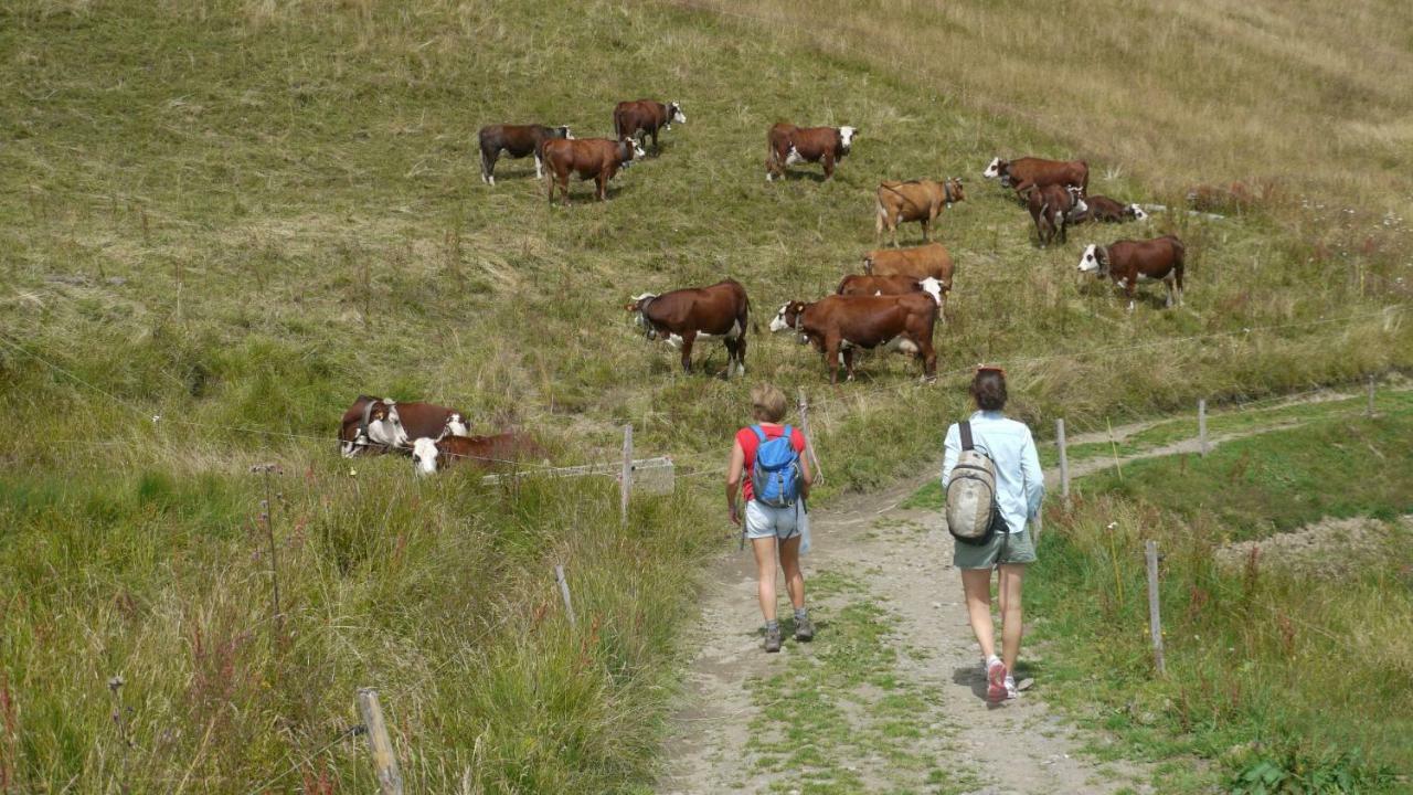 La Grande Cordee - Coeur D'Alpage Lägenhet Combloux Exteriör bild